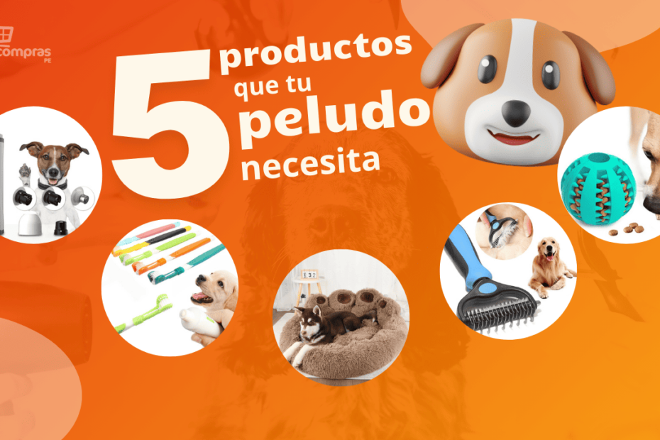 5 productos que tu peludo necesita