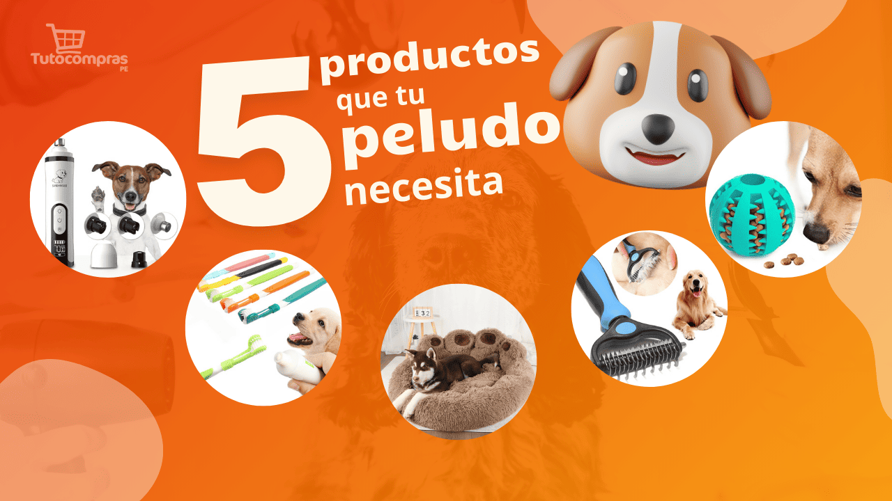 5 productos que tu peludo necesita